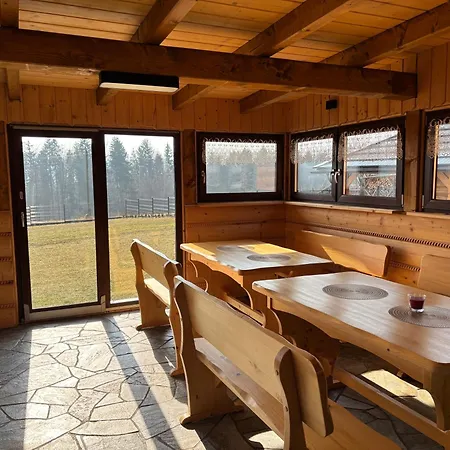 Arkadia - Zapasieki *