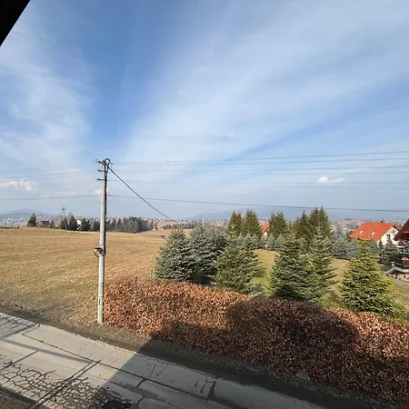 Arkadia - Zapasieki *