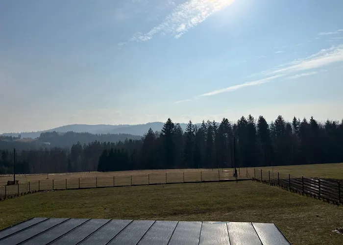 Arkadia - Zapasieki *